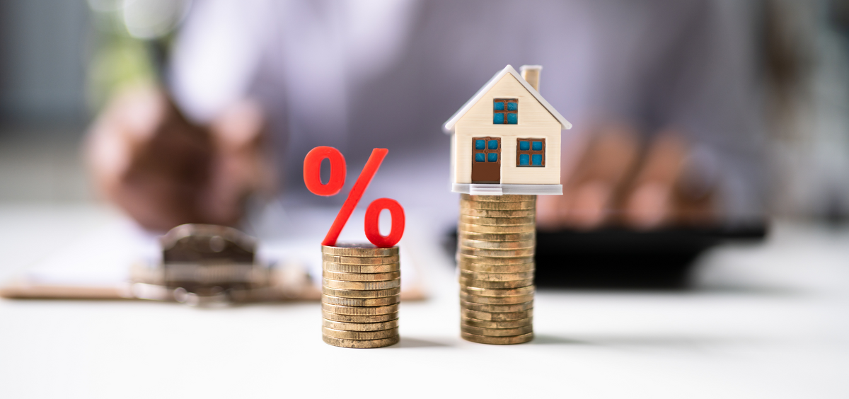 Low Equity Margins (LEM) in New Zealand: What You Need to Know